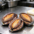 Whole abalone in dark shells with golden foot meat, resting on a steel bench